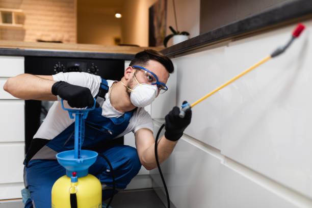 Best Pest Removal Services  in Dunn Loring, VA