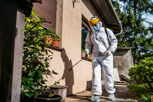 Reliable Dunn Loring, VA Pest Control Solutions