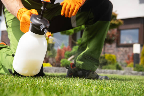 Best Flea Control Services  in Dunn Loring, VA
