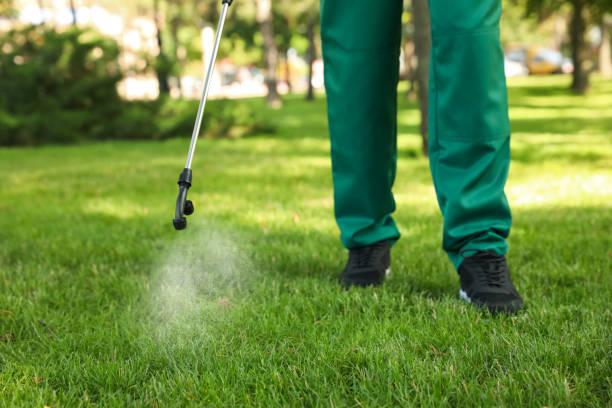 Best Termite Control Services  in Dunn Loring, VA