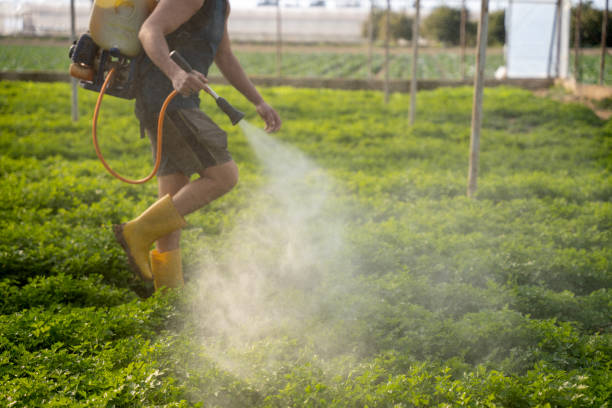 Best Mosquito Control Services  in Dunn Loring, VA