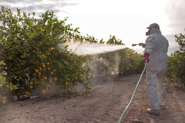 Best Cockroach Control Services  in Dunn Loring, VA