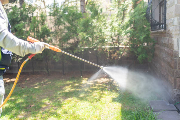 Best Affordable Pest Control Services  in Dunn Loring, VA