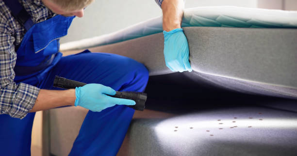 Best Pest Prevention Services  in Dunn Loring, VA
